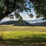 Sowka * Dursztyn