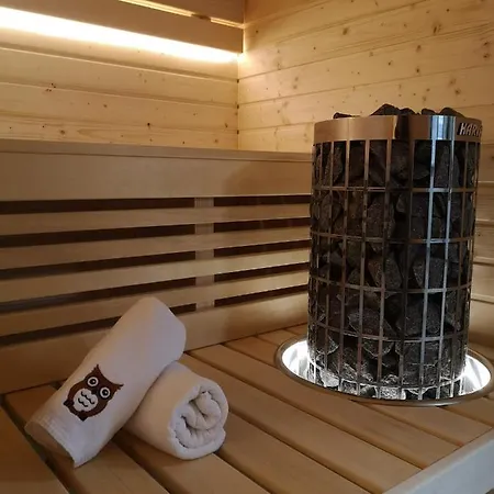 Dom wakacyjny Sówka *