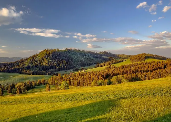 Сasa de vacaciones Sówka *