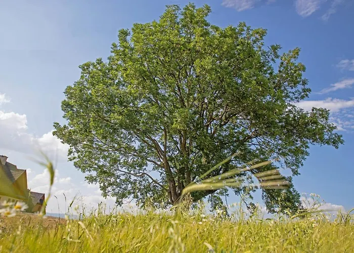 Sówka Сasa de vacaciones *