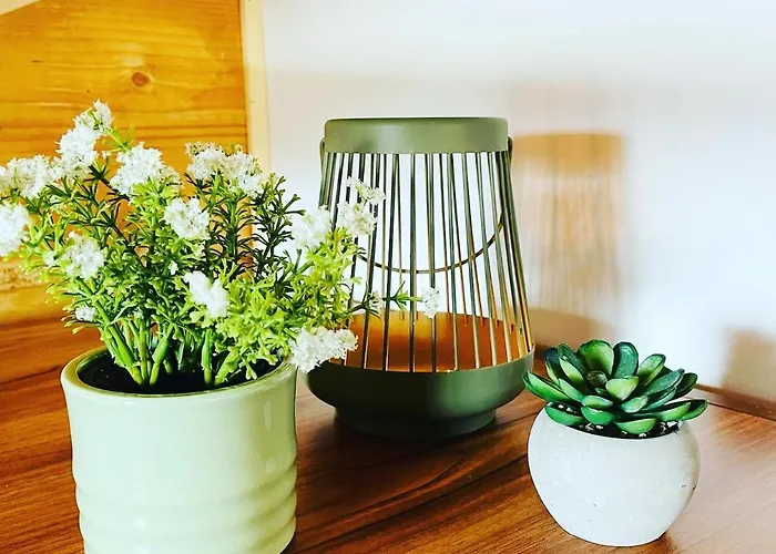 Сasa de vacaciones Sówka